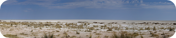 Etosha